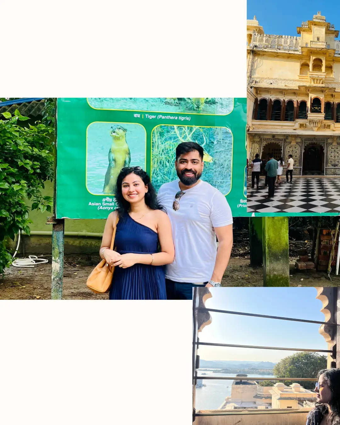 dikshaverse 4 carousal